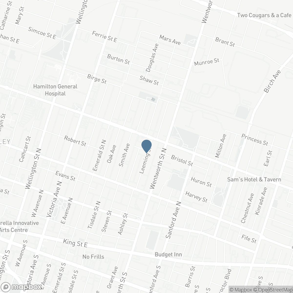 99 LEEMING STREET, Hamilton, Ontario L8L 5T5